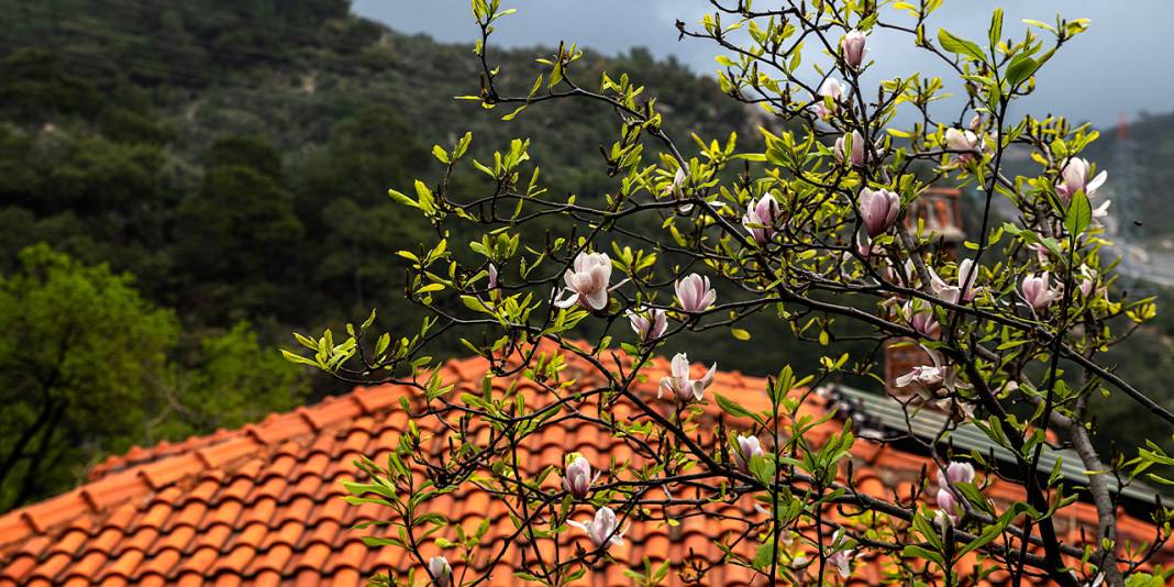 En güzel sonbahar fotoğrafları nerelerde çekilir?