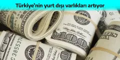 Varlıklarımız Zirvede! Yurt dışı varlıklarımız 348,8 milyar dolar oldu - Yenigün Gazetesi