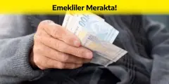 Emekliler Merakta! Emeklilerin gerçekten hesaplarına bir inceleme mi yapılıyor? İletişim Başkanlığı'ndan Resmi Açıklama Geldi - Yenigün Gazetesi